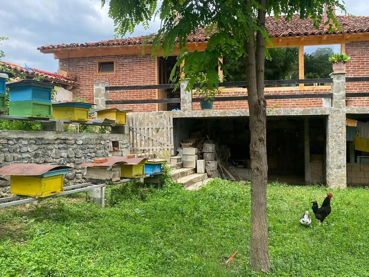 Guest House Hyseni Bulqize